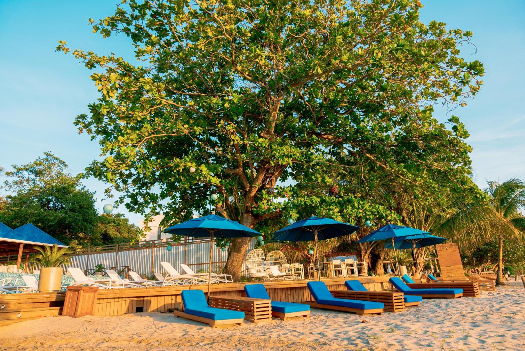 Blue Roatan Resort West Bay Exterior foto